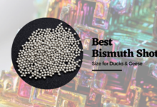 bismuth shot